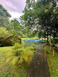 Thomson Road (D11), Detached #498337181